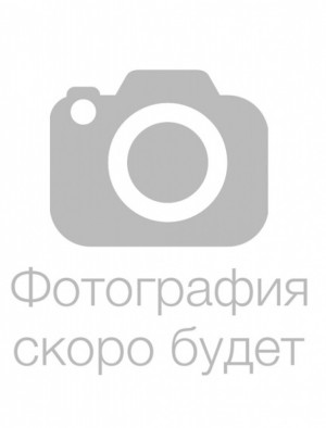 Лактионова Александра Евгеньевна Лактионова Александра Евгеньевна